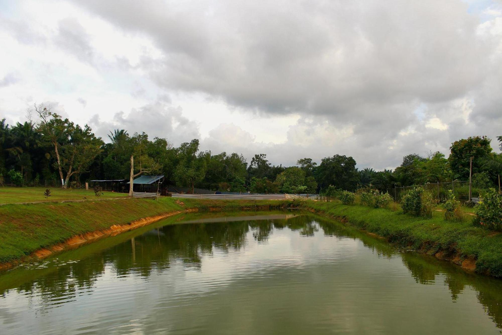 Savanna Hill Resort Ulu Tiram Bagian luar foto