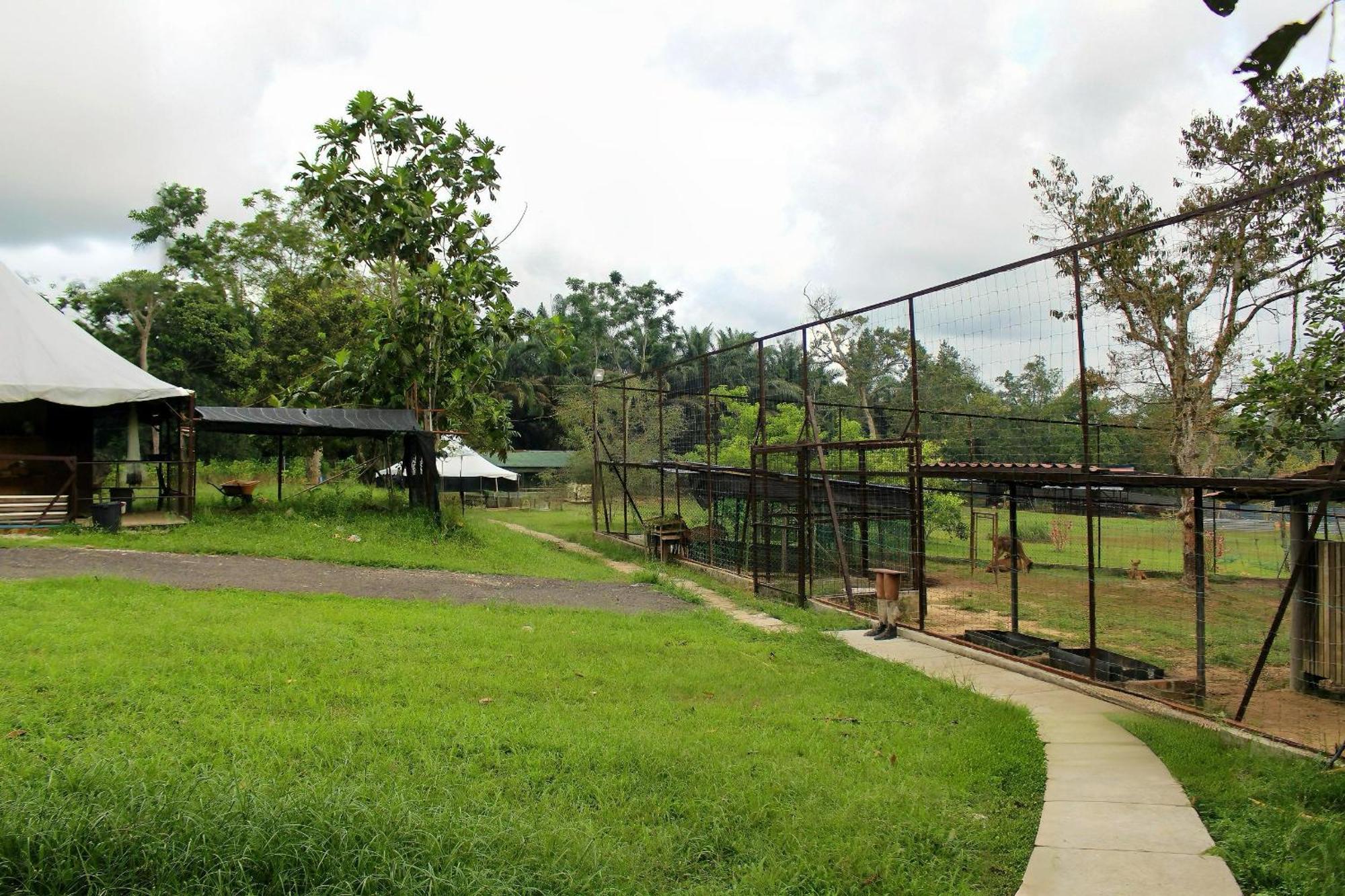 Savanna Hill Resort Ulu Tiram Bagian luar foto